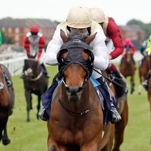 Horse race with jockeys in action.