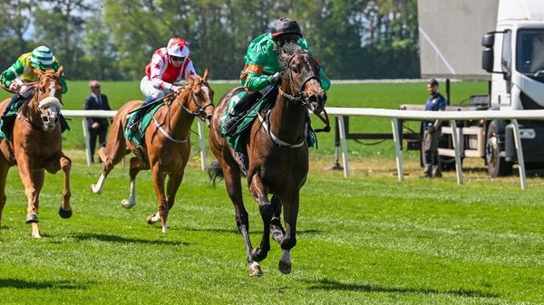 Jockeys racing horses on a grass field.