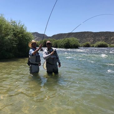 jbekjrjrjjr