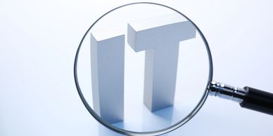 MBE Certified Government Supplier | Services | Information Technology