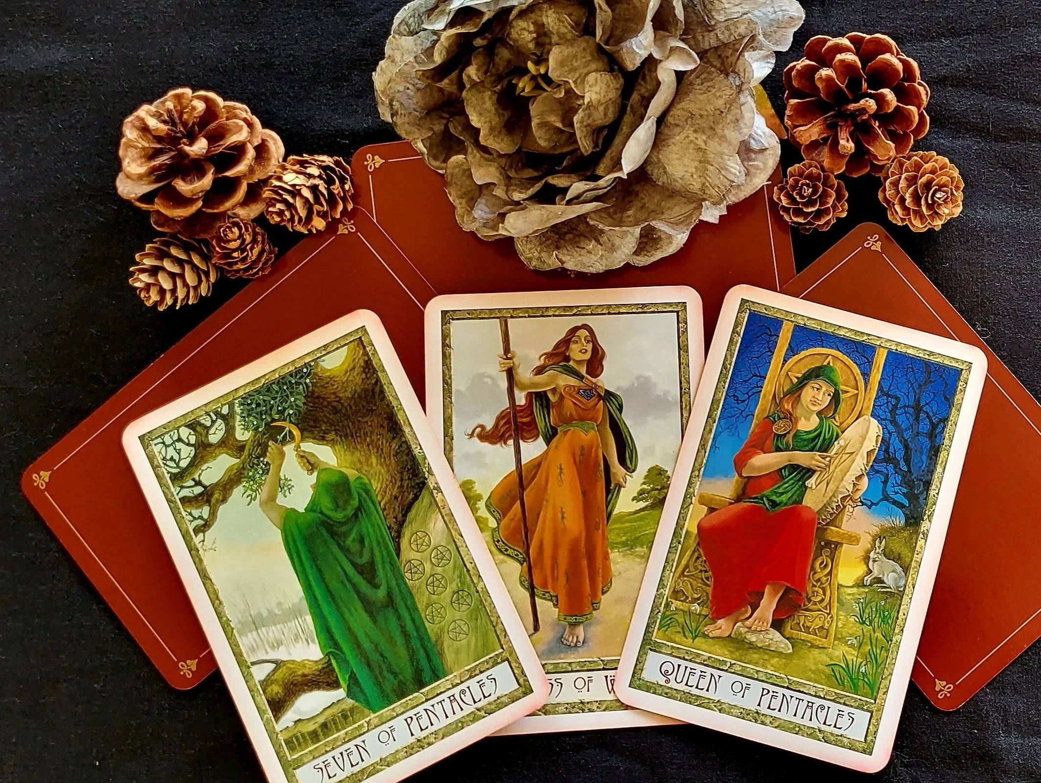 Tarot cards with pine cones and a dried flower on a black surface.