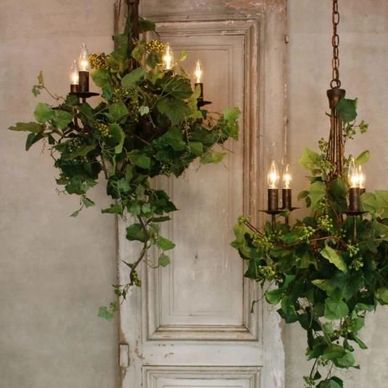 Rustic chandeliers entwined with green foliage hanging indoors.