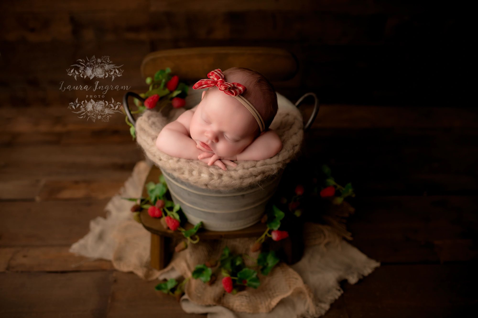 Laura Ingram Photo LLC