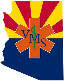 Valley Medic Services