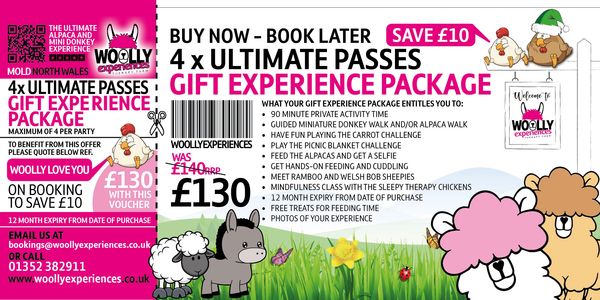 Gift experience for alpaca and mini donkey save £10