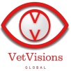 VetVisions Entertainment