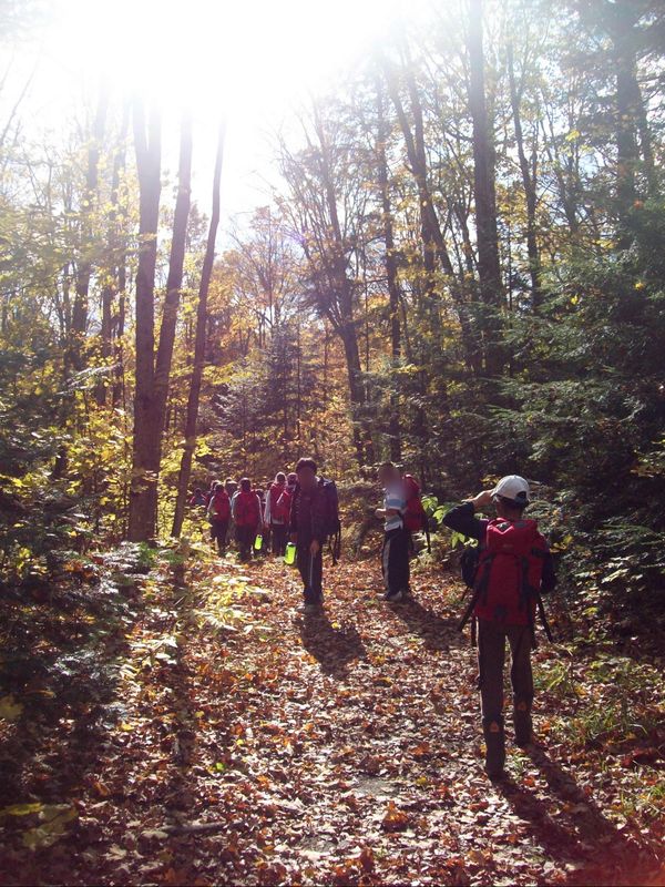 Group hiking through sunlit autumn forest trail.