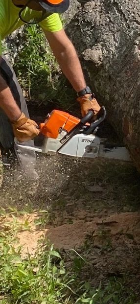 Motosega Stihl MS 880