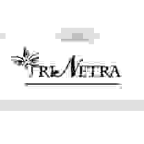 trinetra.com