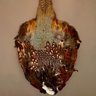 Pheasant Pelt