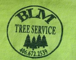 BLM Tree Service