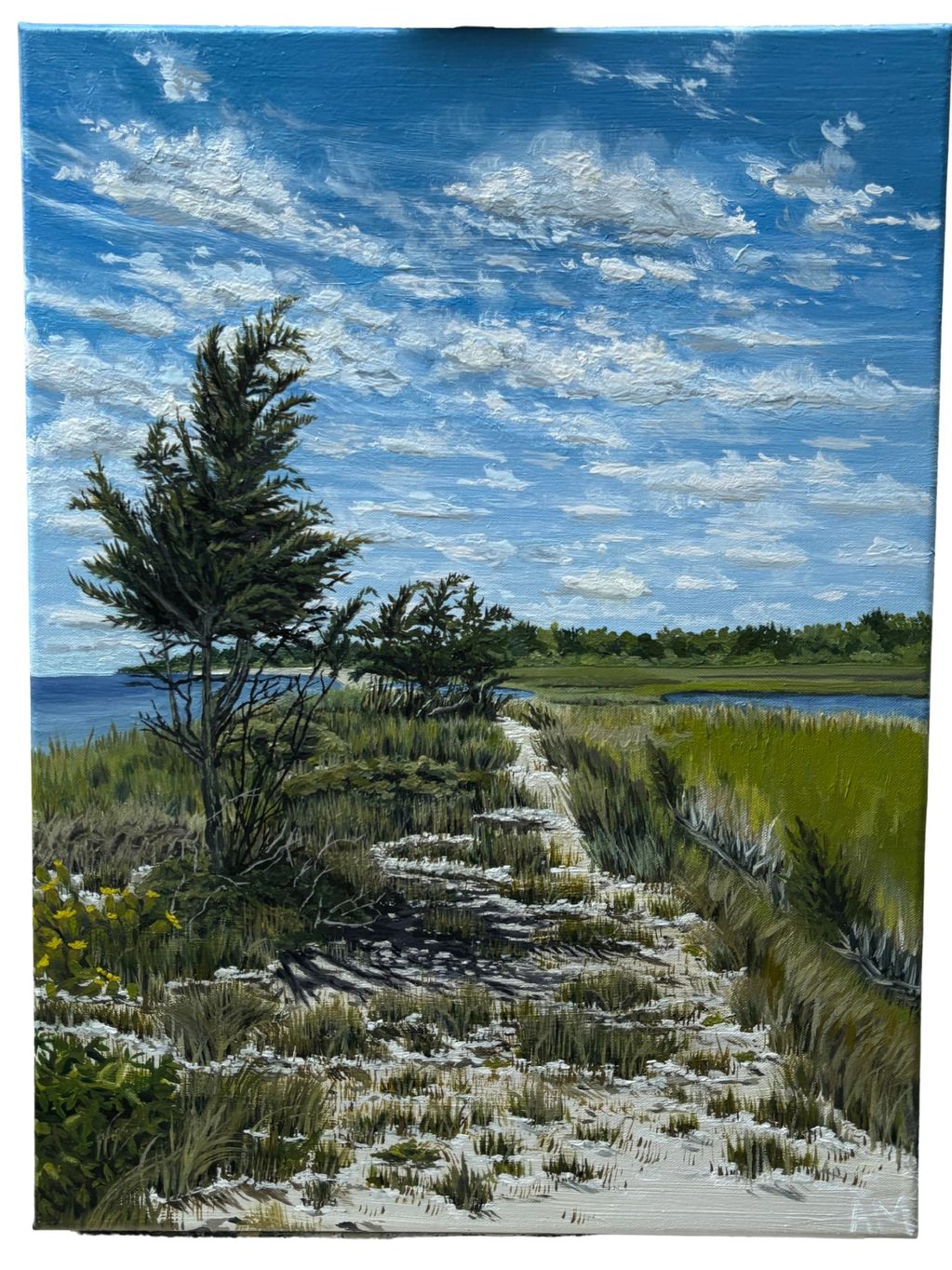 A serene coastal path flanked by green shrubs and trees under a partly cloudy blue sky.
