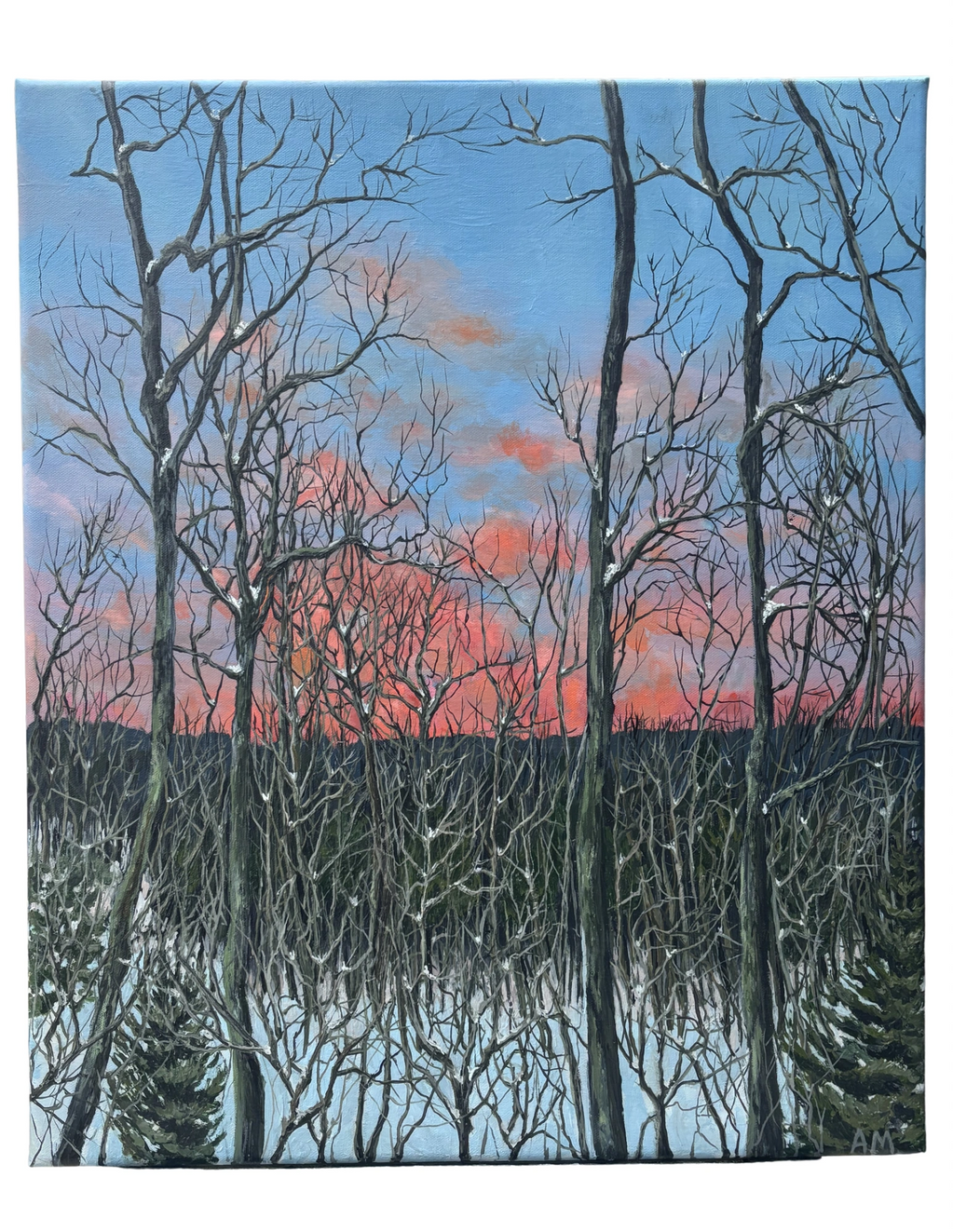 A winter forest with bare trees against a colorful sunset sky.