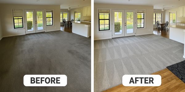 Best carpet cleaners in Paso Robles and SLO County is Green Rhino Carpet Cleaning Service. 