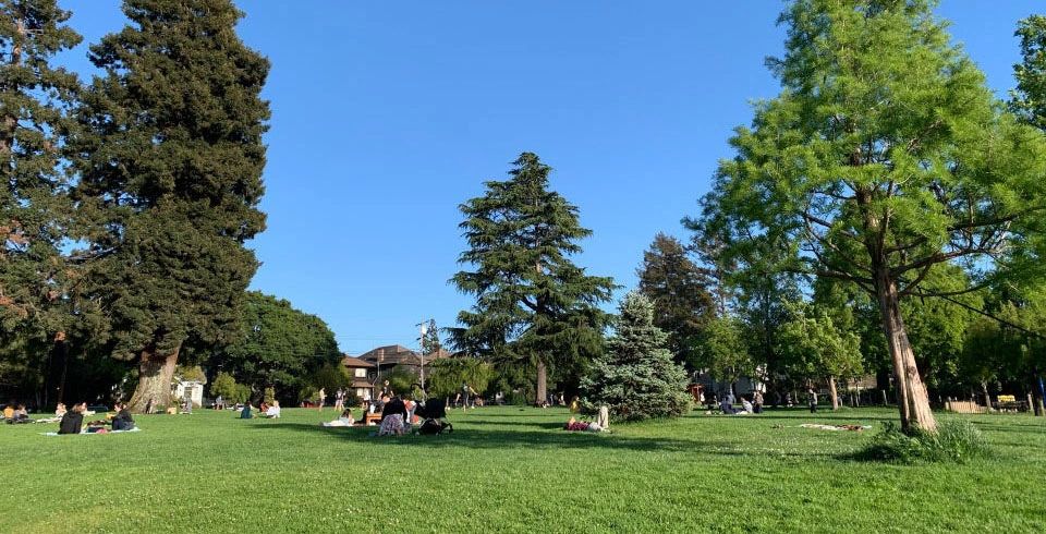 Willard Neighborhood Association