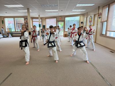 Children practicing martial arts in a dojo, wearing uniforms with belts.