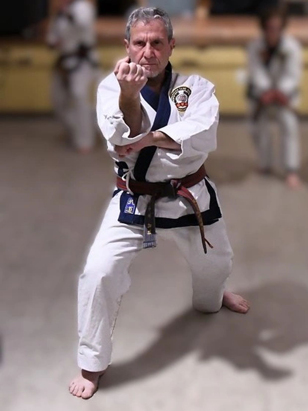 Martial artist in white gi with brown belt performing a focused stance.
