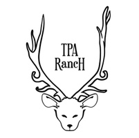 Twelve Point Antlers Ranch