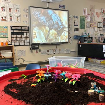 Classroom planting activity with colorful sprouts and bird image projection.