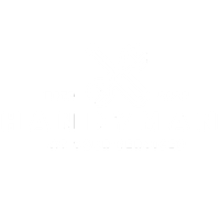 handyman web