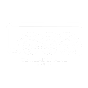 CECILIADENADIE STUDIO