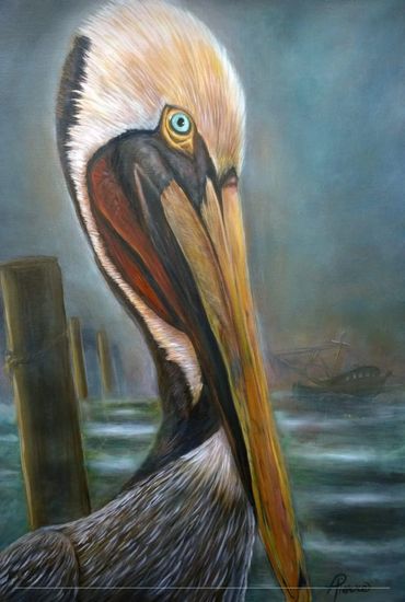 Pelican painted with oils on canvas.