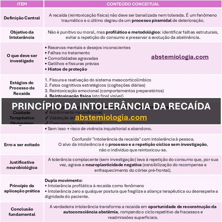 Reca Da PRINCÍPIO DA INTOLERÂNCIA DA RECAÍDA