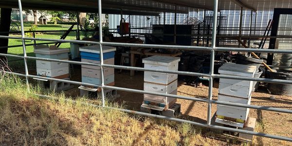 Four beehives under a metal shelter on a farm.
