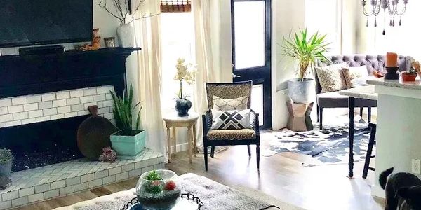 Cozy living room with fireplace, plants, and natural light from large windows.
