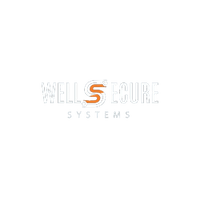 Wellsecure Systems