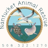Nantucket Animal Rescue