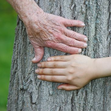 Caregiver and client hands together in companionship