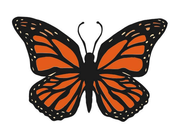 Monarch Butterfly - SVG Design