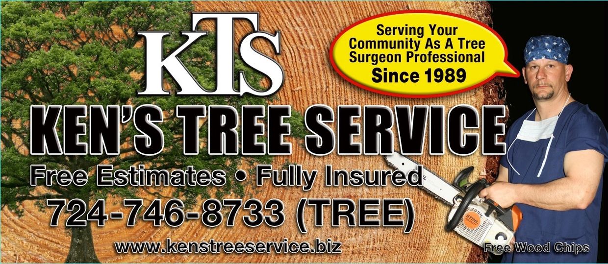 Tree Surgeon Ken Gullick owner operator of Ken's Tree Service since 1989