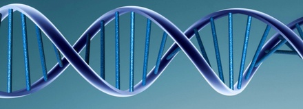 The Helix Foundation Scholarship