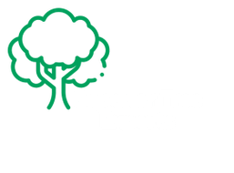 Superior Tree Experts