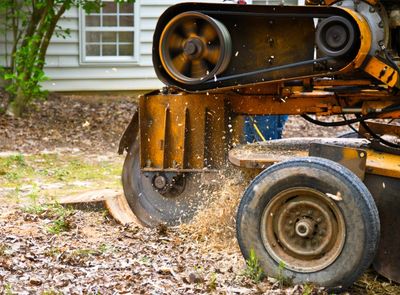 Stump Grinding