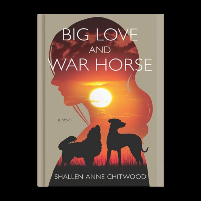 Cover of novel Big Love and War Horse