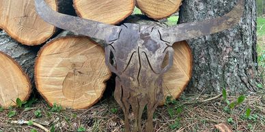 Custom sign, bull skull, precisions cutting, haun welding Watertown NY metal men Watertown NY Nox
