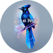 Stellar Potions