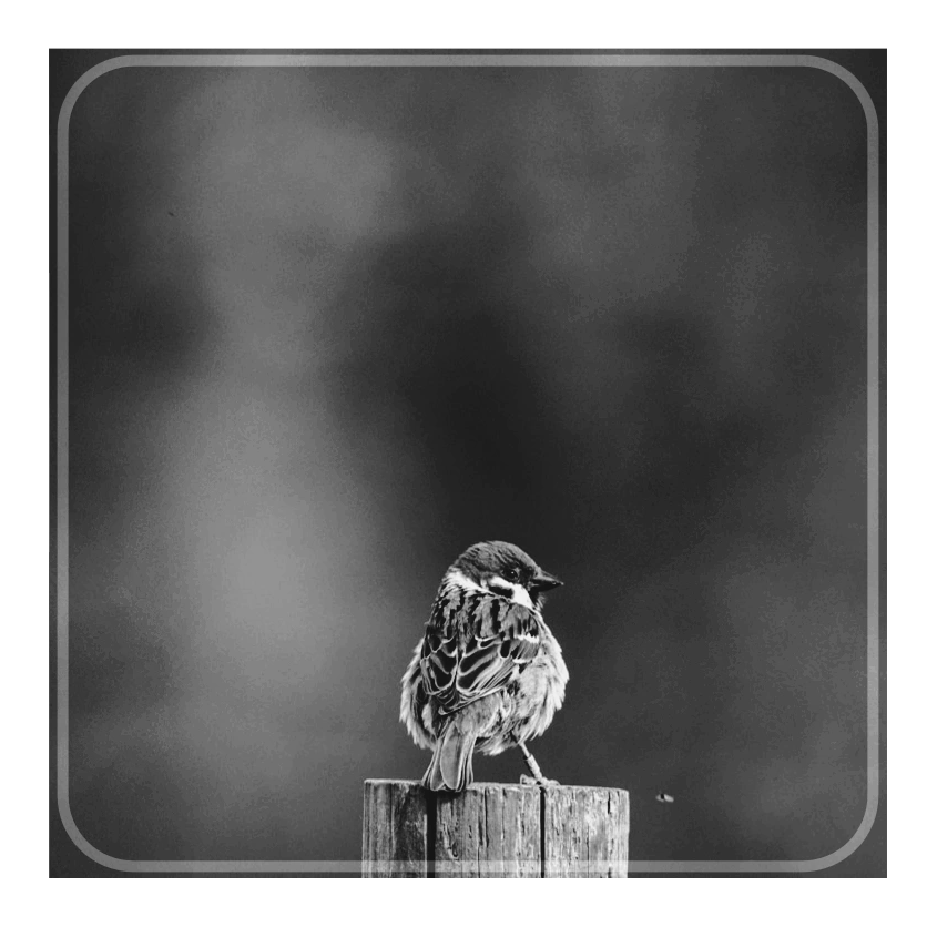 Individual Counselling Individual Therapy Marla Klinck Sparrow Counselling & Consulting