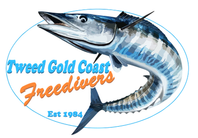 Spearfishing  Tweed Gold Coast Freedivers