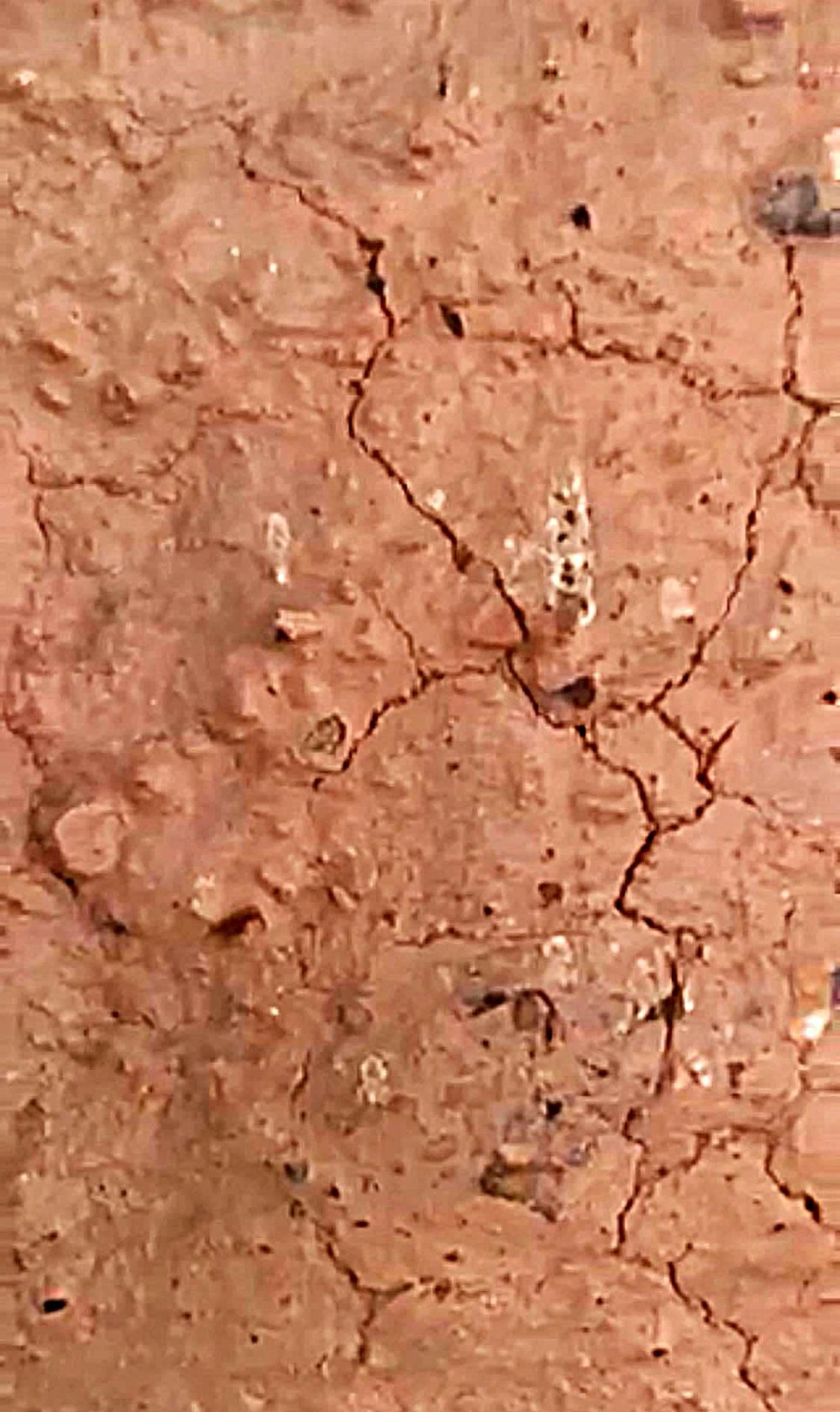 Mud brick wall before restoration