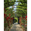 "The Garden of Prayer"