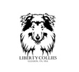 Liberty Collies