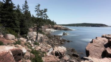 Coastal Me.