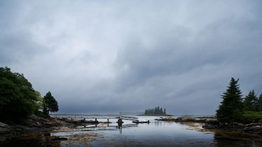 Coastal Me. No.2