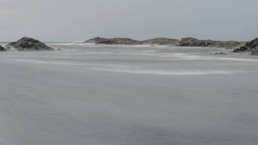 Coastal Newport No.3, R.I.