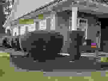 image253