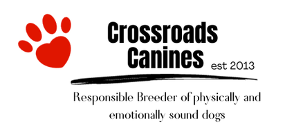 Crossroads Canines 